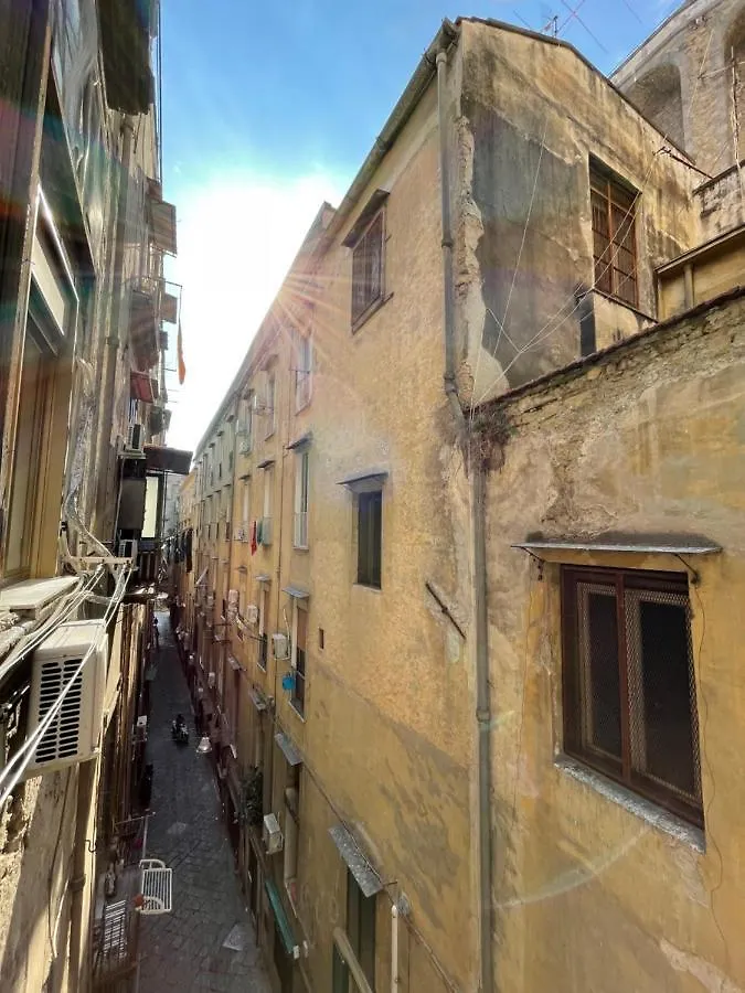 Queen Carolina'S Homes - Apartments In Old Town Naples